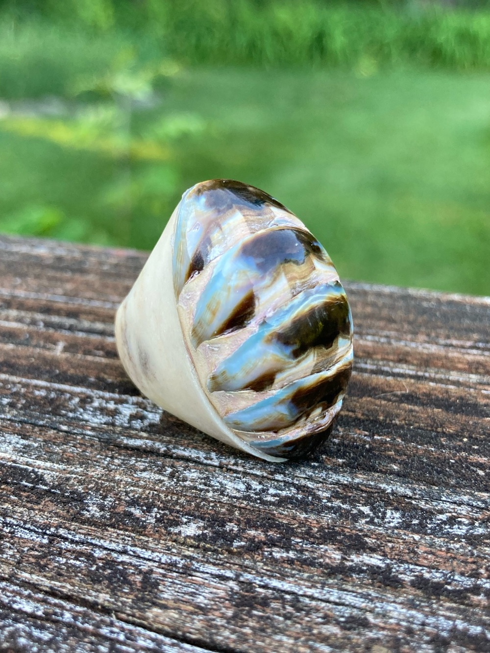 Vintage Hand Carved Bovine Horn Chunky Tan Ring Size 5 Unisex